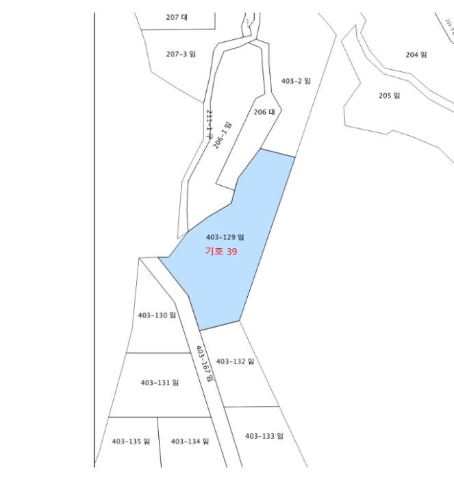 지적 및 건물개황도