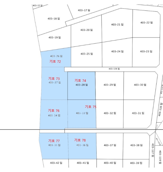 지적 및 건물개황도