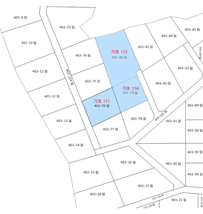 지적 및 건물개황도