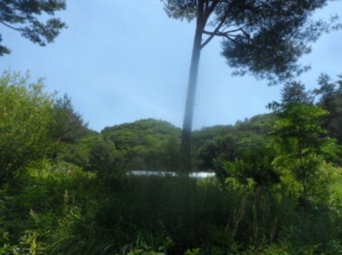 본건 근거리에서 촬영한 것임