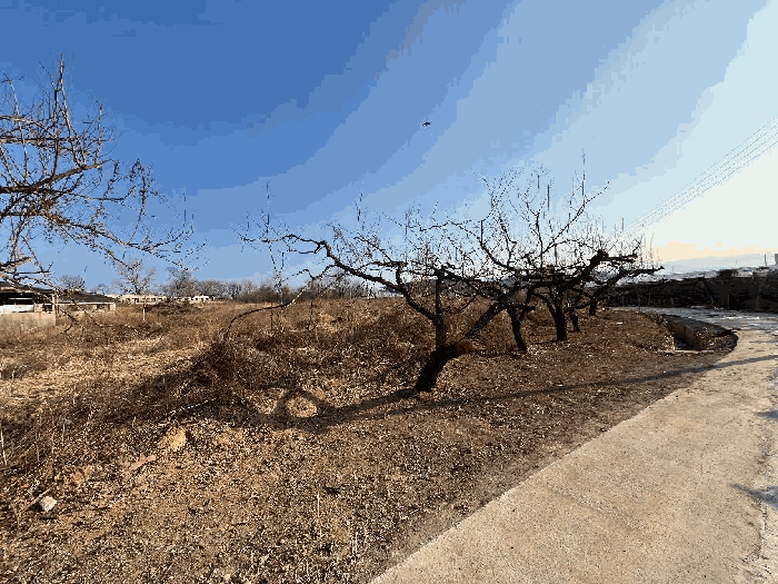 본건 기호 7) 전경