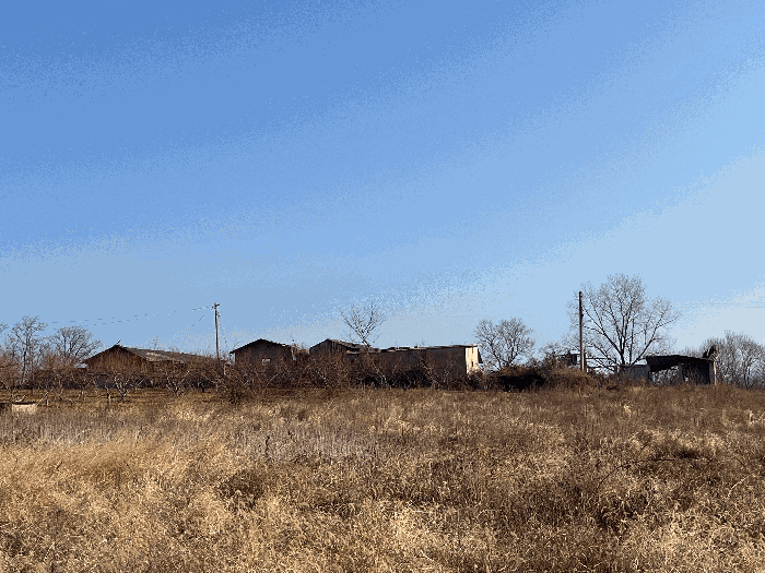 본건 기호 9~11) 전경