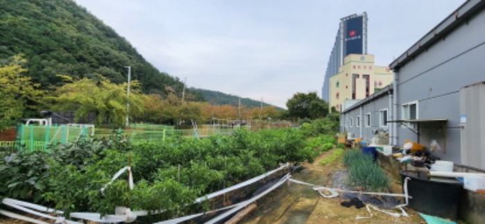 구평동 391-1 및 주변