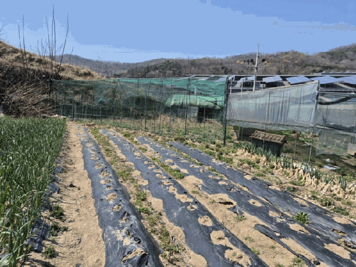 제시외건물(ㄴ)