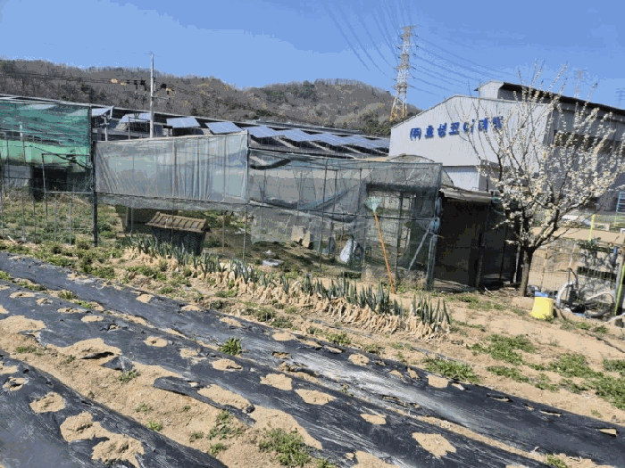 제시외건물(ㄴ)