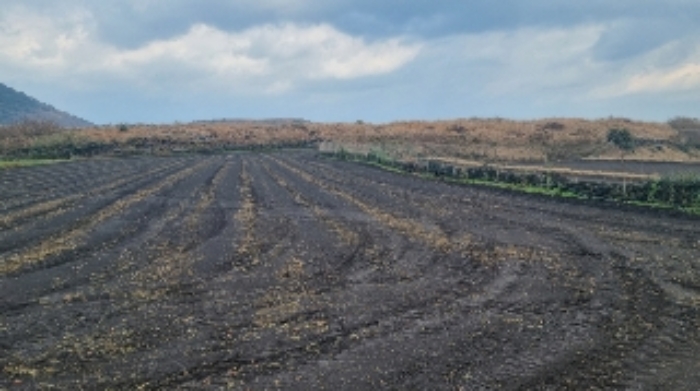 소재지1(상도리 1393) 전경1