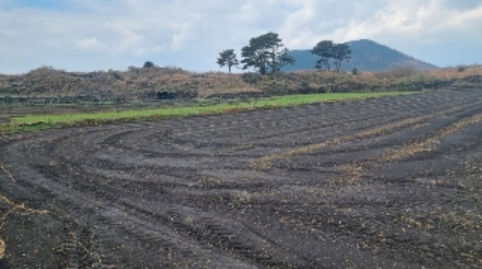 소재지1(상도리 1393) 전경2