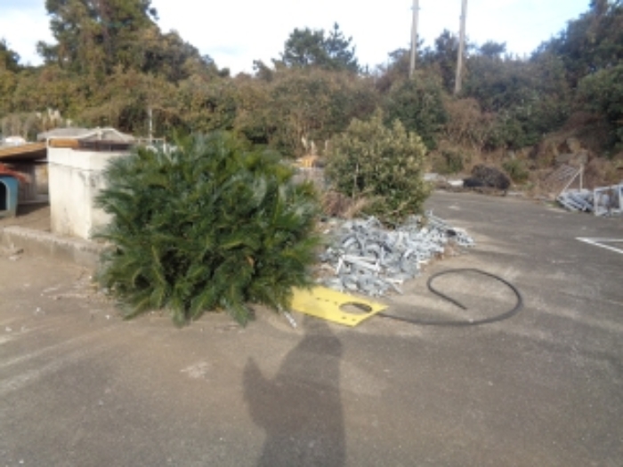 소재지1(안성리 7) 전경 사진