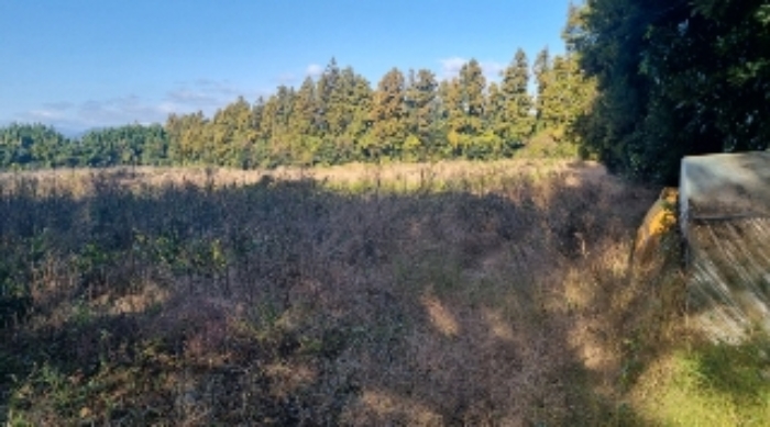 소재지2(토산리