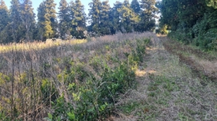 소재지2(토산리