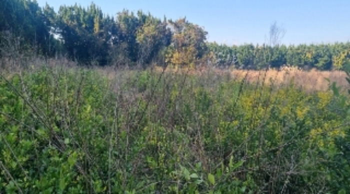 소재지2(토산리