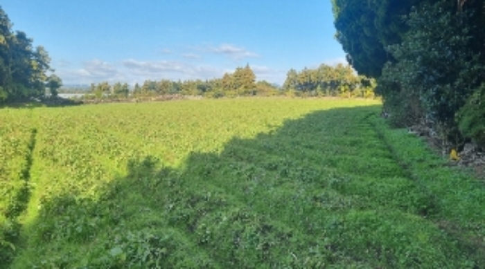 소재지1(토산리