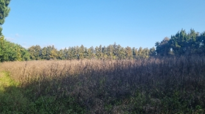 소재지1(토산리