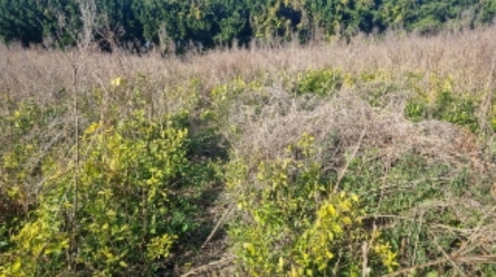 소재지1(토산리