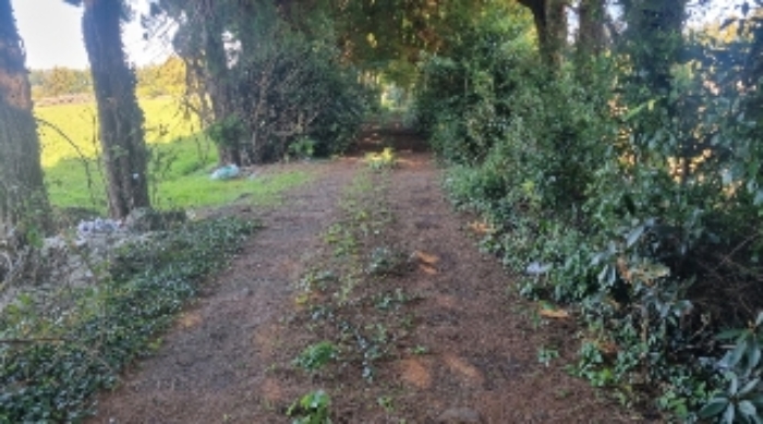 소재지1(토산리