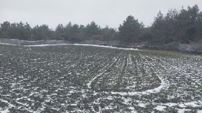 소재지2(덕천리 산63-4) 전경3