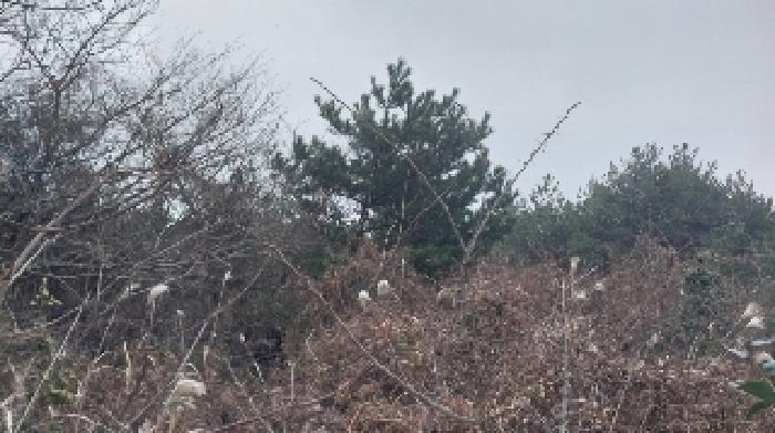 소재지3(덕천리 산63-5) 전경1