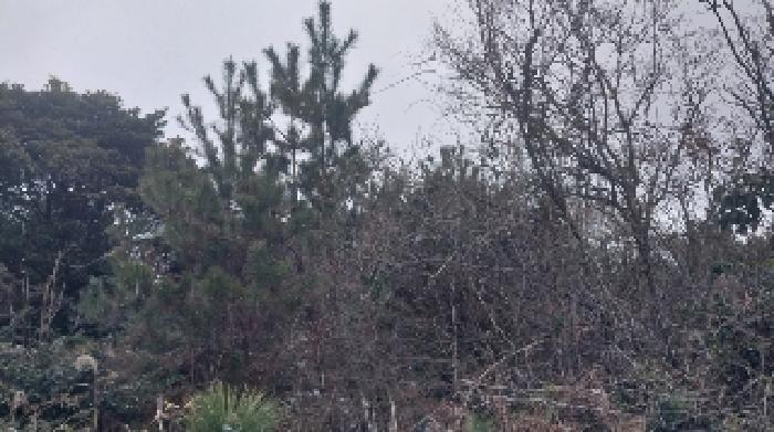 소재지4(덕천리 산63-6) 전경1