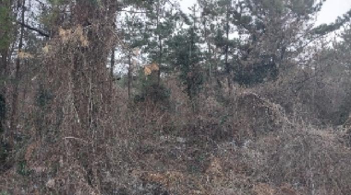 소재지1(덕천리 산63-3) 전경