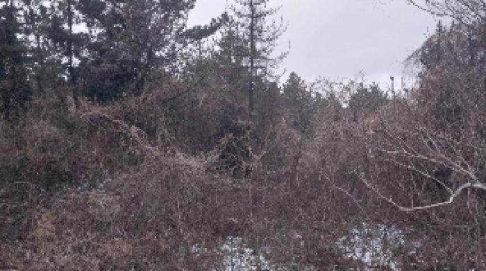 소재지2(덕천리 산63-4) 전경1