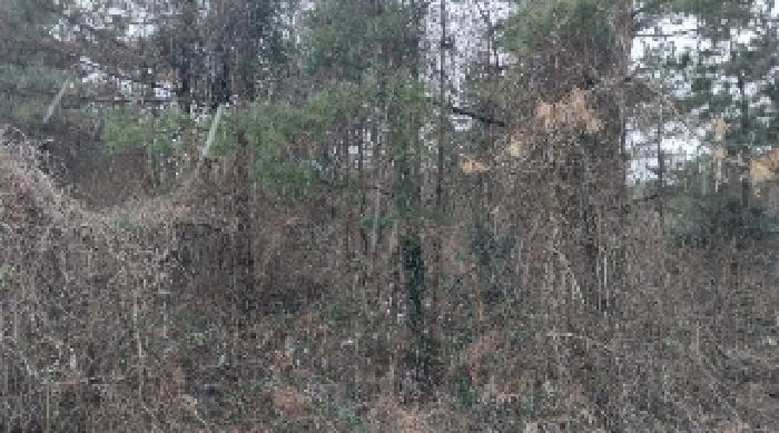 소재지2(덕천리 산63-4) 전경2