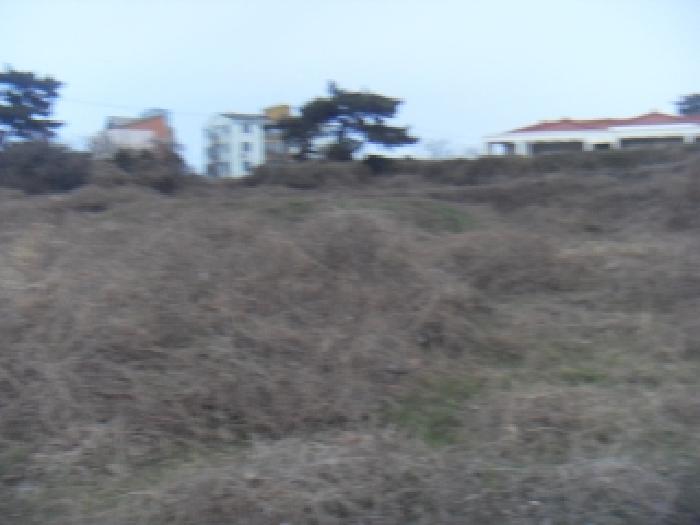 소재지1(옹포리 645) 전경 사진