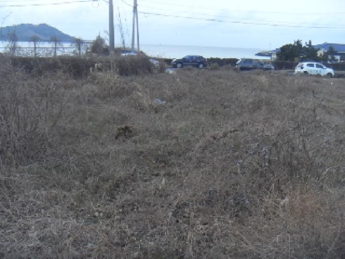 소재지2(옹포리 645-1) 전경 사진