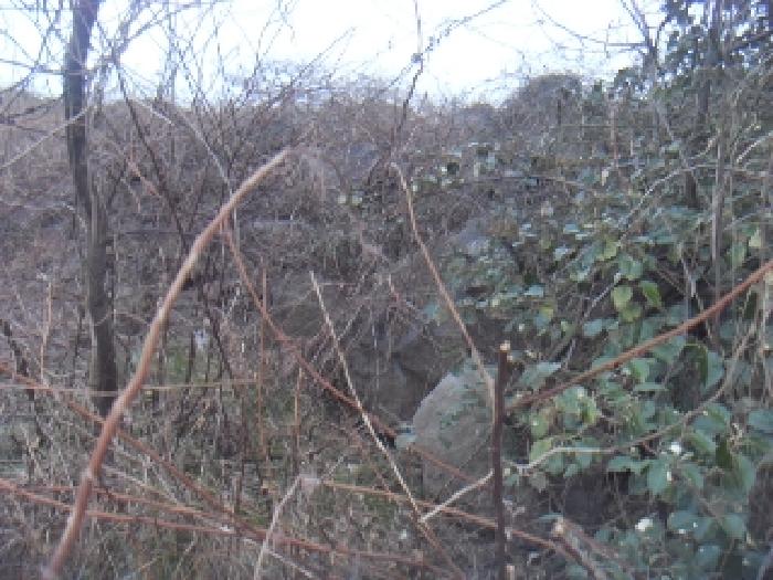 소재지3(옹포리 645-3) 전경 사진