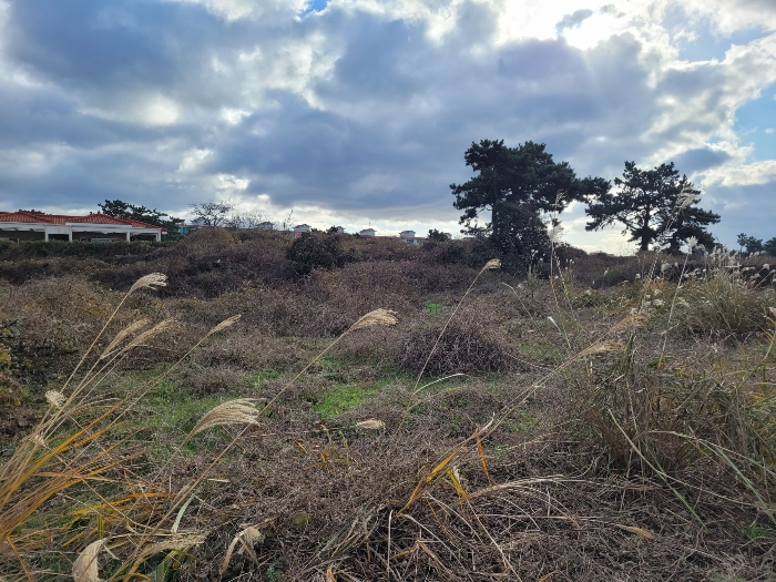 기호 (1,3,4) 전경