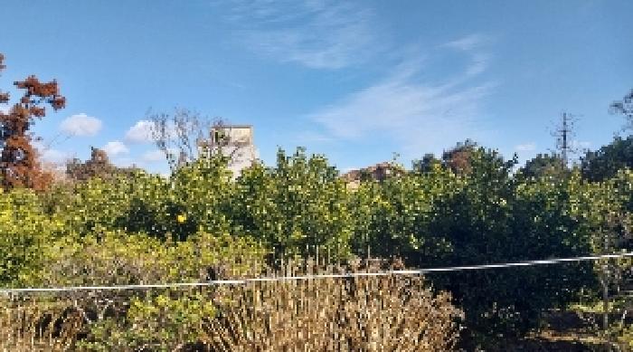 소재지8(남원리