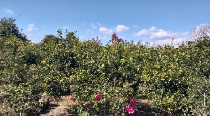 소재지9(남원리