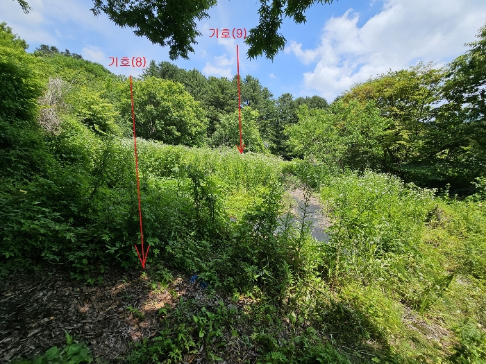 기호(8,9) - 서측 촬영