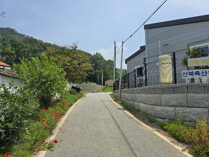 일련번호 6) : 현황도로