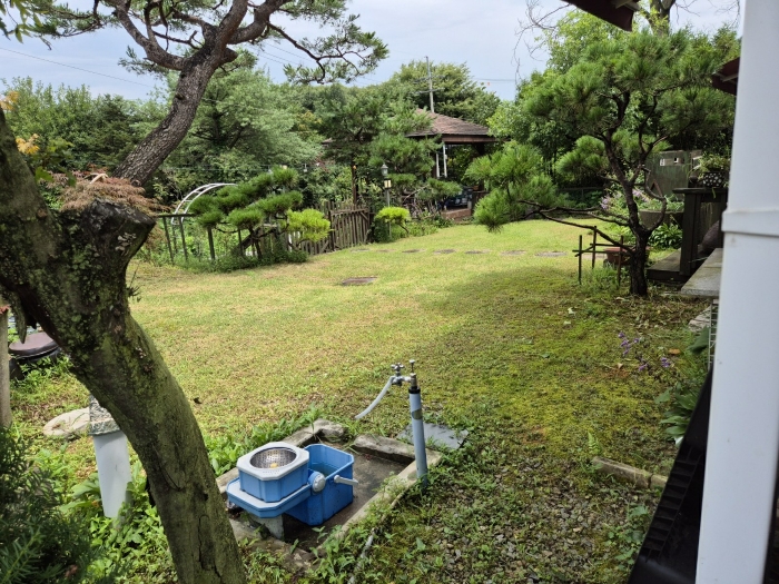 기호 2 토지 북측 부분 전경(남서측에서 촬영)