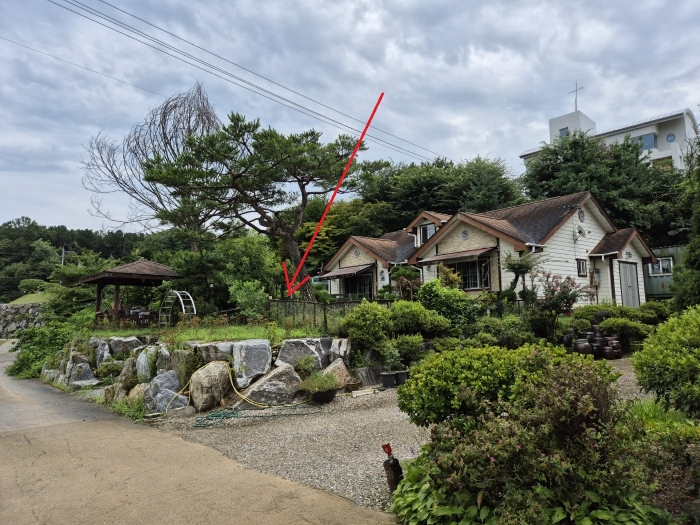 본건 전경(북서측에서 촬영)