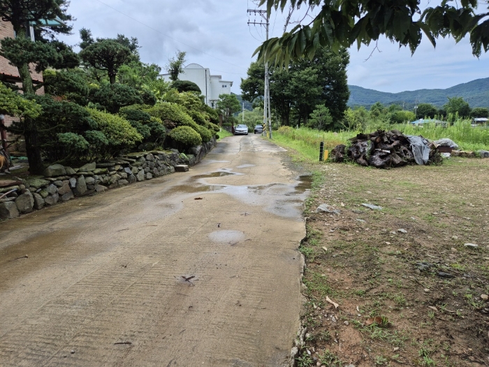 북서측 인접도로 전경