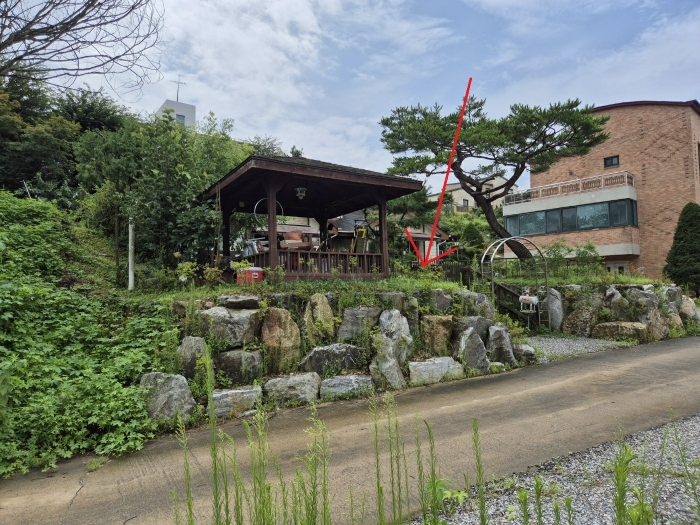 본건 전경(북동측에서 촬영)