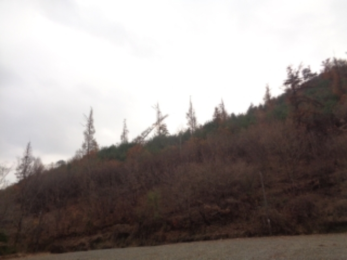 본건1,2,6,7,11,12,14~36