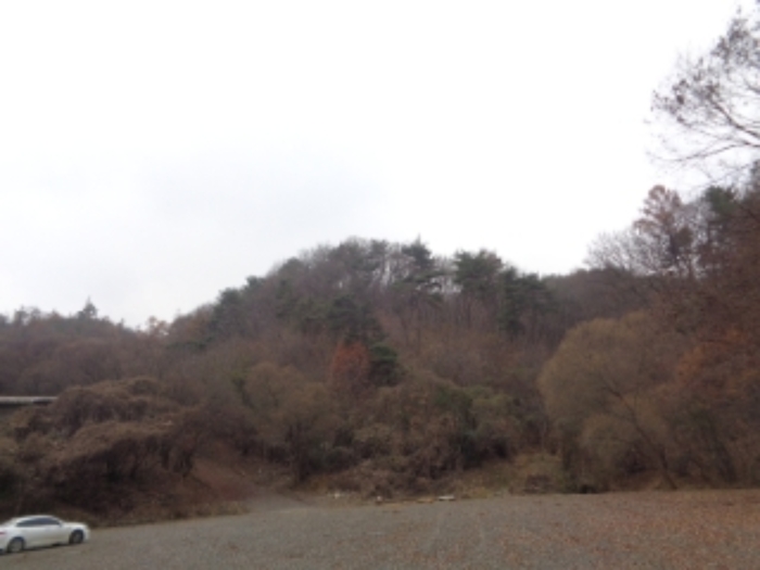 본건1,2,,6,7,11,12,14~36