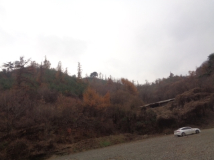 본건1,2,,6,7,11,12,14~36