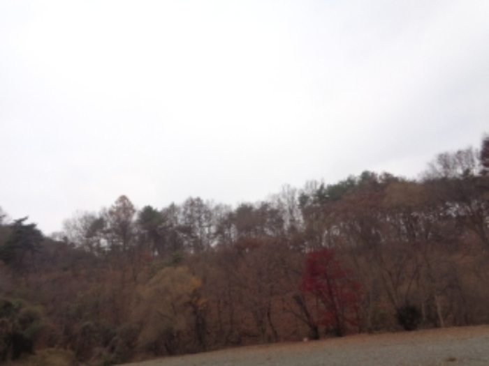 본건1,2,,6,7,11,12,14~36