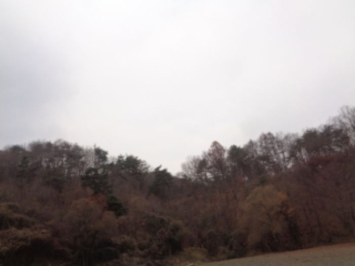 본건1,2,,6,7,11,12,14~36