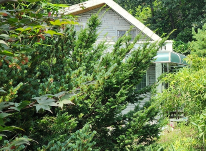 제시외 건물 ㉠