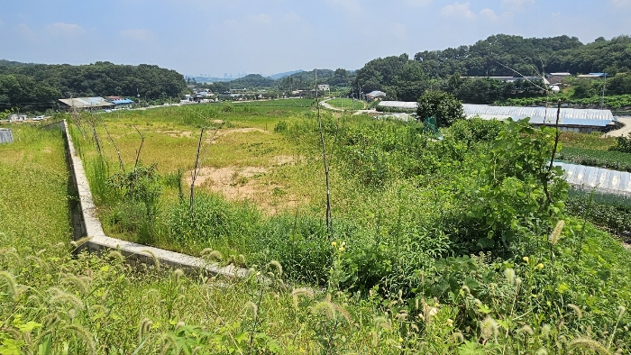 본건 기호1)-5),7)