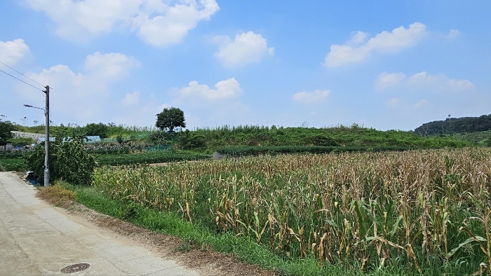 본건 기호1)-5),7)