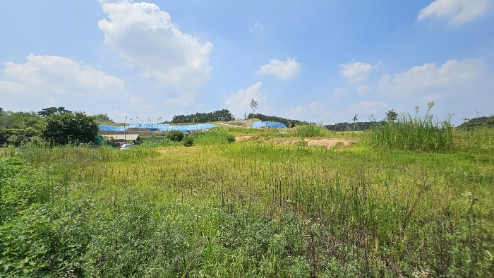 본건 기호1)-5),7)