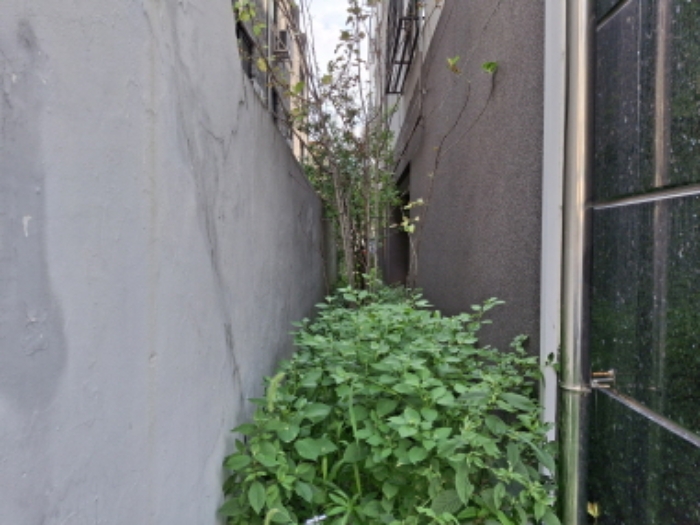 건물 좌측 모습