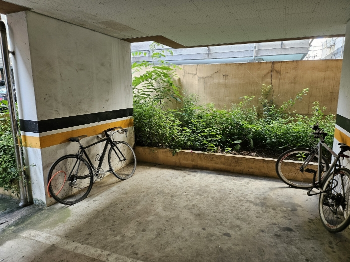 본건 기호(1) 1층에서 수목소재부분 촬영