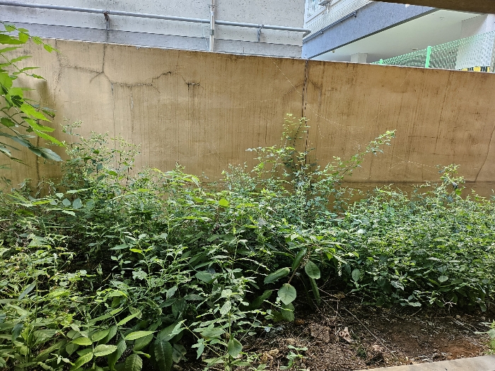 본건 정원 주위환경