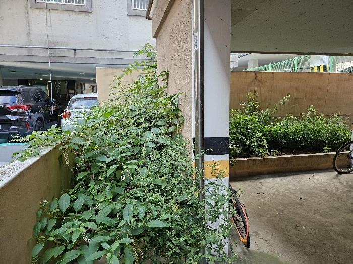 본 지상 수목등 소규모정원 주위환경